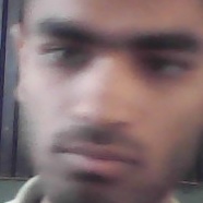 Kirsh_33.jpg