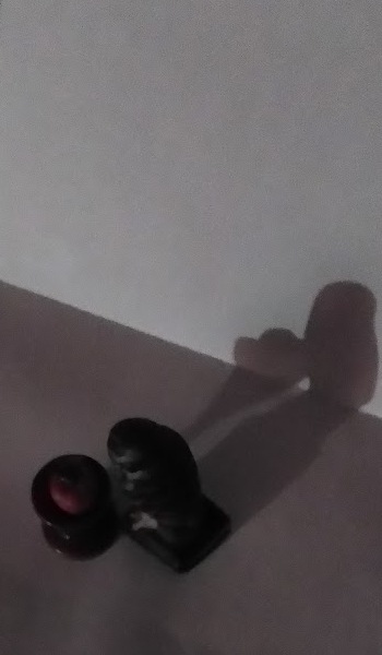 1_noflash.jpg