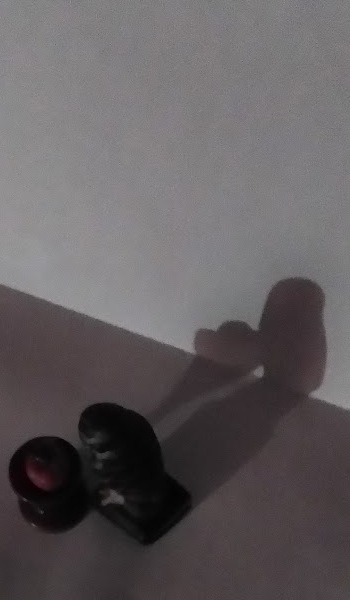 3_noflash.jpg